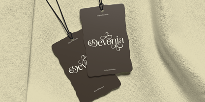 RK Avoleina Font Poster 7