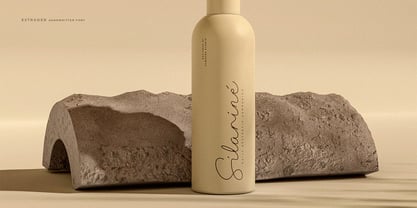 Estrader Font Poster 4