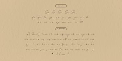 Estrader Font Poster 10