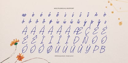 Lingered Amaya Font Poster 11