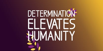 Gain Wisdom Font Poster 4