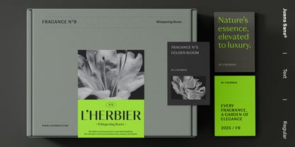 Juana Sans Font Poster 9