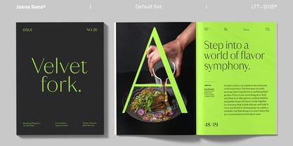 Juana Sans Font Poster 4