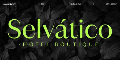 Juana Sans Font Poster 3