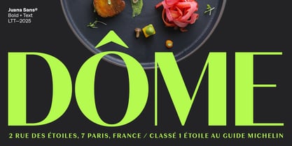 Juana Sans Font Poster 11