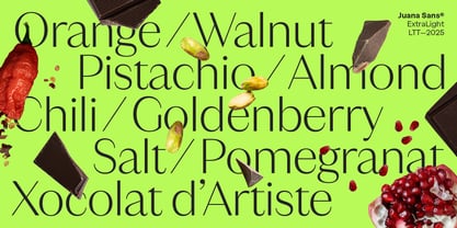 Juana Sans Font Poster 10