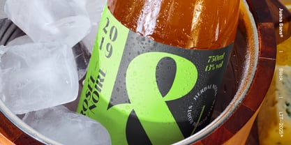 Juana Sans Font Poster 12