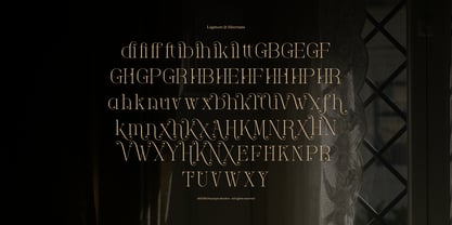 Foilathe Font Poster 12