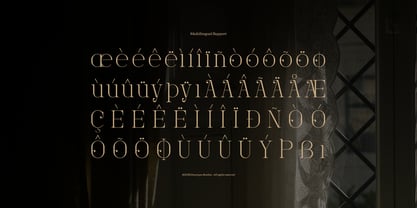 Foilathe Font Poster 11