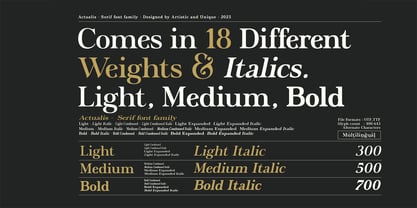 Actualis Font Poster 2