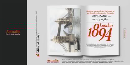 Actualis Font Poster 14