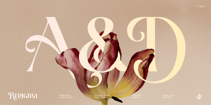 Al Renigma Font Poster 5