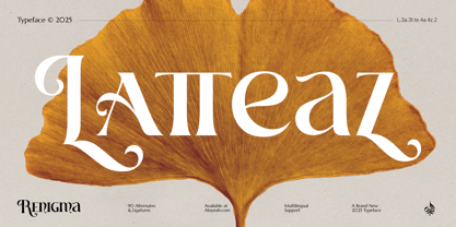 Al Renigma Font Poster 3