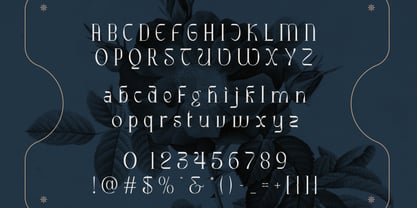 Ribgy Font Poster 2