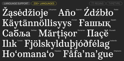 TT Regins Font Poster 7