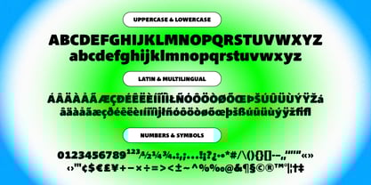 Cook Edgisp Font Poster 2