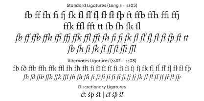 Dingocitta Font Poster 7