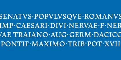 Dingocitta Font Poster 3