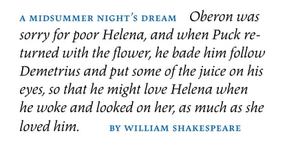 Dingocitta Font Poster 4