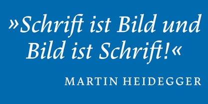 Dingocitta Font Poster 9