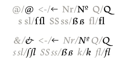 Dingocitta Font Poster 8