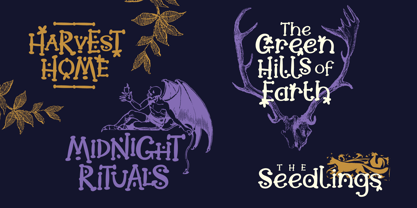 Moonshore Font Poster 13