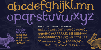 Moonshore Font Poster 4