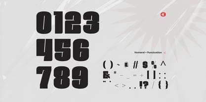 Rexa Bold Font Poster 9