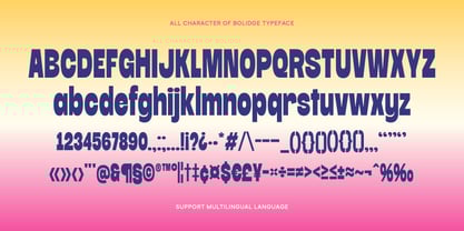 Cook Bolidge Font Poster 4