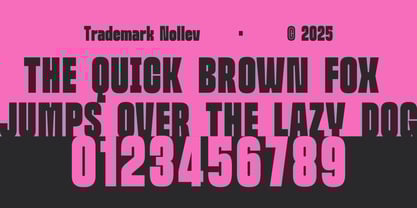 Ferron Font Poster 8