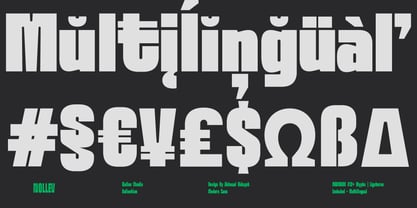 Ferron Font Poster 5