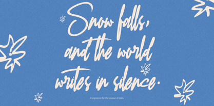 Qonttany Font Poster 5