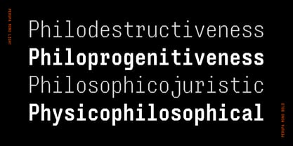 Perupa Mono Font Poster 14