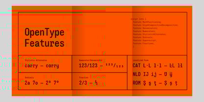 Perupa Mono Font Poster 15