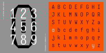 Perupa Mono Font Poster 6