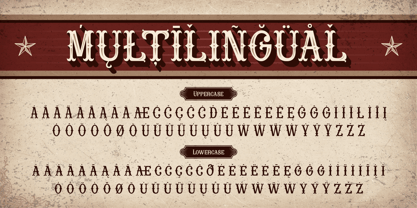 Rowina Font Poster 11