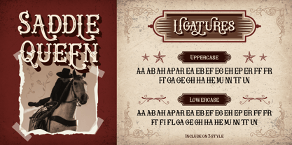 Rowina Font Poster 6