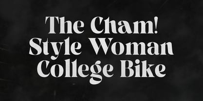 Pronela Font Poster 2