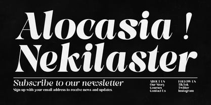 Pronela Font Poster 9