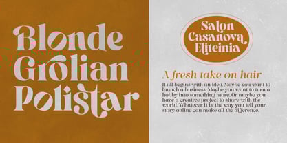 Pronela Font Poster 12