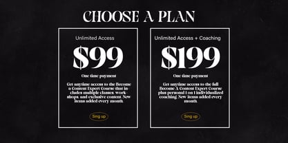 Pronela Font Poster 15