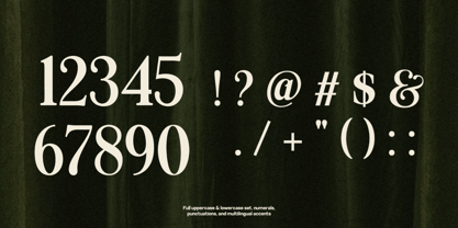 Floranza Font Poster 4