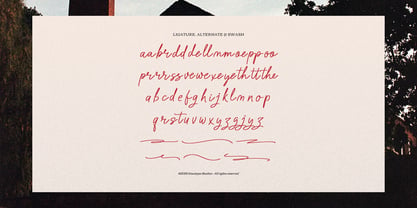 Barrow Waylow Font Poster 12