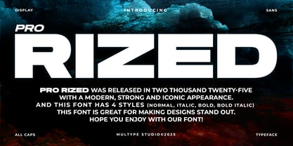 Pro Rized Font Poster 1