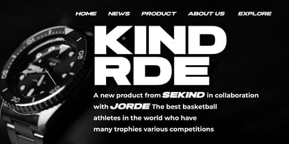 Pro Rized Font Poster 4