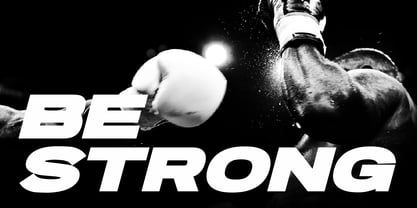 Pro Rized Font Poster 5