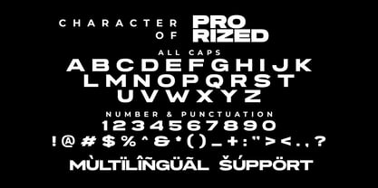 Pro Rized Font Poster 9