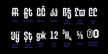 Entrofly Font Poster 7