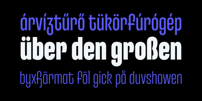 Entrofly Font Poster 6