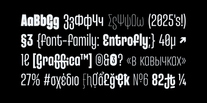 Entrofly Font Poster 5